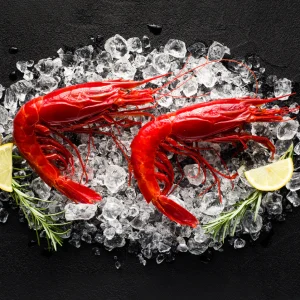 Red Carabineros